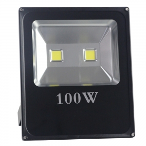 8018-100W-C